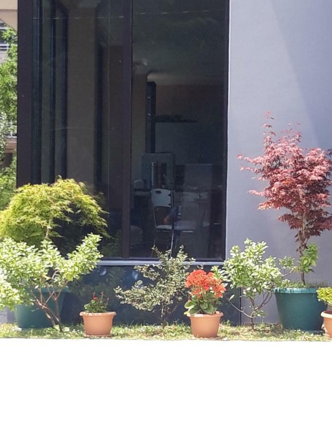 Cozy House Hotel Kobuleti Exterior photo